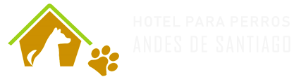 Hotel para perros Santiago